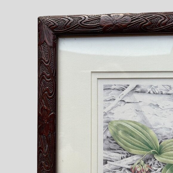 Vintage Framed Botanical Print Signed R. Brown Lady Slipper Artist Note Cottage - Picture 6 of 16